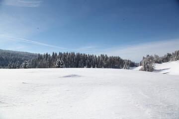 Lamoura sous la neige