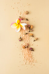 Fototapeta na wymiar SPA and beauty centre concept. Still life composition with sea salt scrub ,frangipani flower and rose herbs on beige background. Top view
