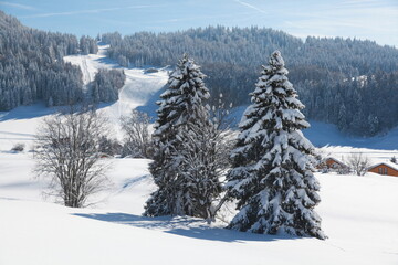 Lamoura sous la neige