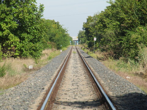 Rail