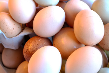 Organic chicken eggs in paper egg box with compartments. Eggs contain vitamins, phosphorus, zinc and a lot of choline. Egg container for recyclable materials