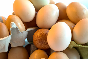 Organic chicken eggs in paper egg box with compartments. Eggs contain vitamins, phosphorus, zinc and a lot of choline. Egg container for recyclable materials
