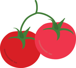 Hand drawn style drawing tomato