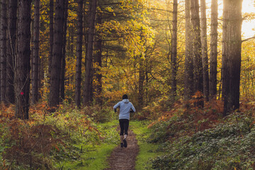 Fototapeta premium Man trail running in Sherwood Forest - England. 