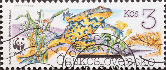 CZECHOSLOVAKIA - CIRCA 1989: a postage stamp from Czechoslovakia, showing a Yellow-bellied Toad...