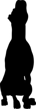 recommend clip art: Dog Silhouette Pet Animal