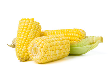 fresh corn with husks. isolated on a white background.