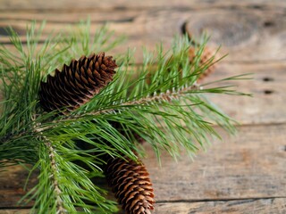 Branch of a Christmas tree with pine cones on an ancient wooden background. Christmas background.