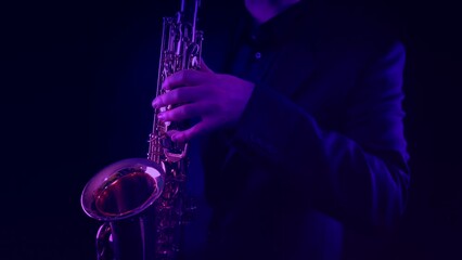 Saxophonist At Concert Side View