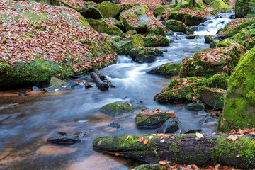 Karlstalschlucht in der Pfalz