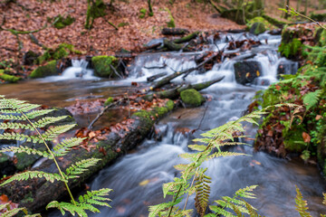 Karlstalschlucht in der Pfalz