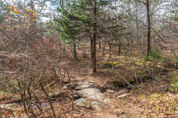 Natural stone bridge in the forest