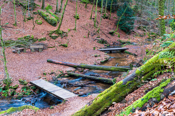 Karlstalschlucht im Herbst in der Pfalz