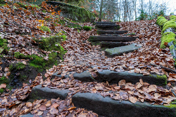 Karlstalschlucht im Herbst in der Pfalz