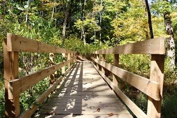 A view from on the wood footbridge.