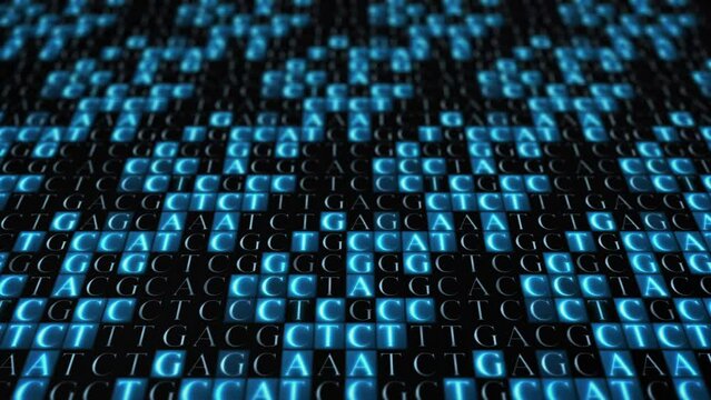 Futuristic animation of DNA sequencing with its bases.  Biotechnology, Big Genomic Data Analysis.