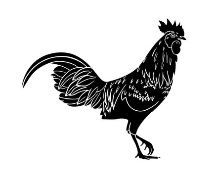 recommend clip art: Chicken Rooster Farm Animal Silhouette