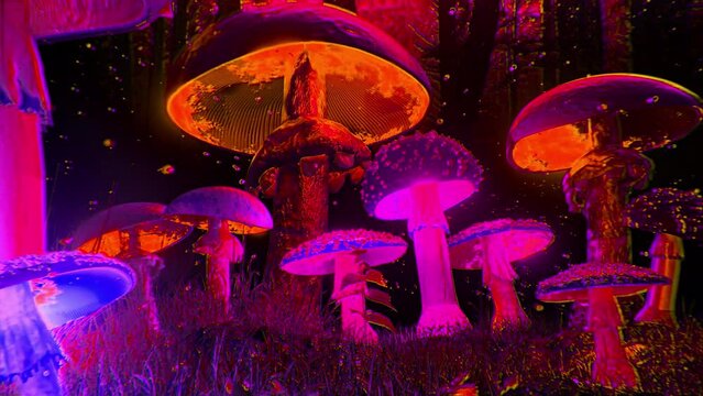 Psychedelic Mashroom Jungle Bad Trip II , Animation.Full HD 1920×1080. 08 Second Long.