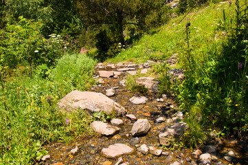 Picturesque mountain stream in the Pyrenees.