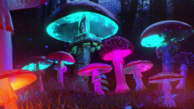 Psychedelic Mashroom Jungle, Animation.Full HD 1920×1080. 08 Second Long.