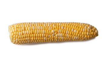 Yellow sweet corn isolated on white background. Copyspace.