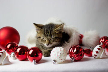 Funny kitten sleeps on a red santa's hat. Christmas decor on a white background. New year card with fluffy cat.
