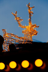 Illuminated christmas tree at night, illuminated garland