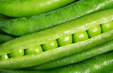 Pea pod close-up