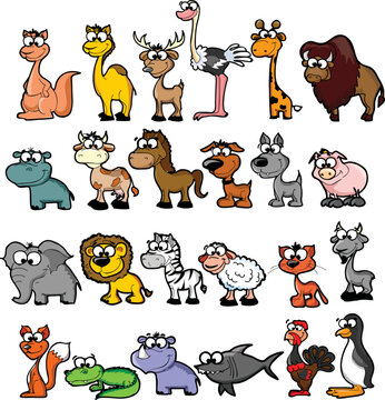 Big bundle of funny domestic and wild animals, marine mammals, reptiles, birds and fish. Collection of cute cartoon characters isolated on white background. Colorful vector illustrations