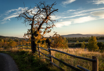 Autumnal sunset landscape with Great Owl (Wielka Sowa) Mountain, Poland. Old apple tree and a wooden fence in foreground.   © Kati Lenart