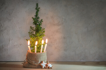 Alternative second Advent wreath, four candle lit with a flame on a small conifer plant as...