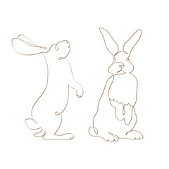 Single line drawing of rabbit, vector minimalistic hand drawn illustration