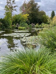 pond