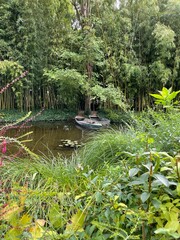 pond in the garden