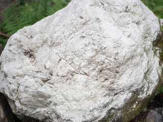 Granite white and grey rock as background. Green grass. Selective focus