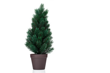 beautiful Christmas tree in a pot on a white background