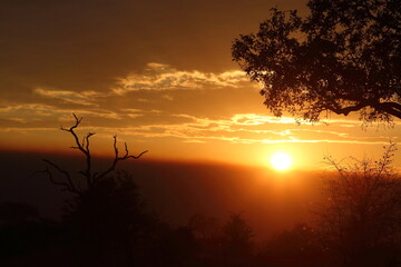 Fototapeta premium Sonnenaufgang - Krüger Park Südafrika / Sunrise - Kruger Park South Africa /
