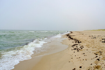 Beach Baltic Sea coast with quartz sand and rolling waves.