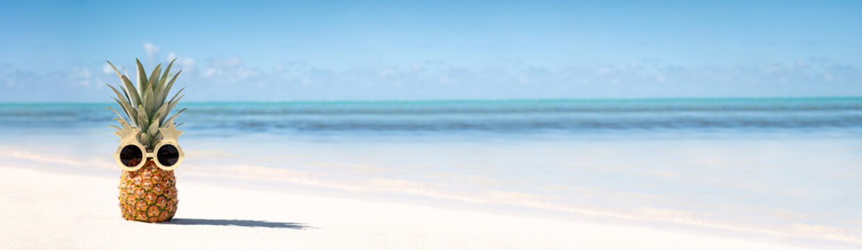 Funny pineapple face in funky sun glasses on caribbean seashore. Exotic fruit on beach close to sea. Long banner