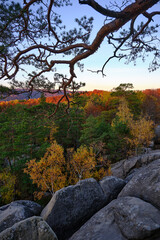 Ukrainian mountains in autumn