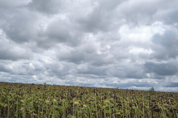 Ukraine donetsk landscape