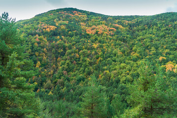 Spectacular view of the Ordesa Valley with the colors of autumn. Ordesa and Monte Perdido National...