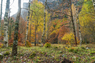 Spectacular view of the Ordesa Valley with the colors of autumn. Ordesa and Monte Perdido National Park in Huesca, Aragon, Spain