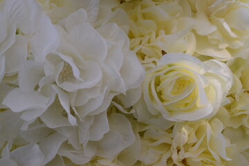 white yellow roses background flowers 