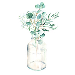 Eucalyptus and gypsophila branches in vase, jar. Silver dollar, willow. Watercolor hand drawn botanical illustration isolated on white background. Eco minimalistic style for greeting card, poster.