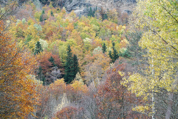Spectacular view of the Ordesa Valley with the colors of autumn. Ordesa and Monte Perdido National...