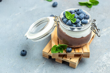 Delicious chocolate mousse or pudding with whipped cream. Chocolate panna cotta with blueberries....