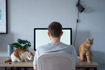 Young engineer man gray in t-shirt. Cheerful caucasian male freelance software developer sitting at working place in home office hardly working using computer with two tabby cats sitting on a table