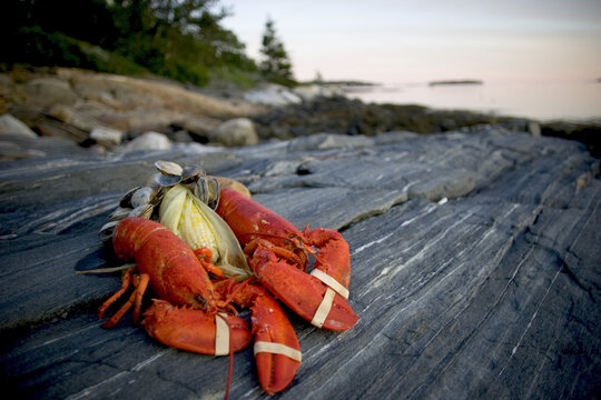 Lobsters, Clams And Corn Perches On A Ledge