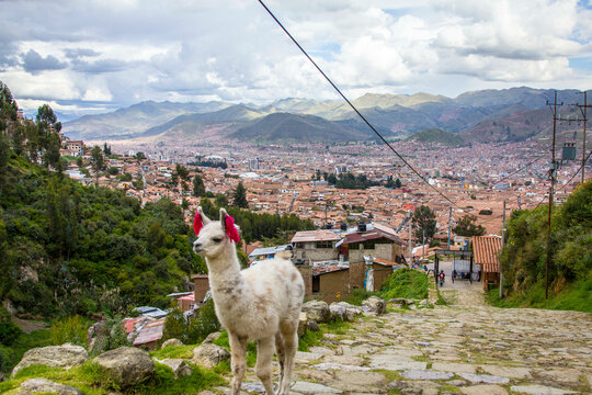 Moments on the Salkantay Trek to Machu Picchu in Peru.